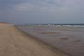 Atlantic ocean  Cape cod 049